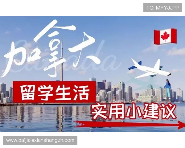 天博真人平台注册流程优化提升用户注册体验的实用建议